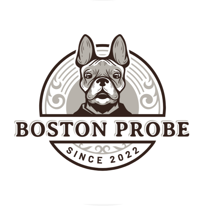 Boston Probe logo