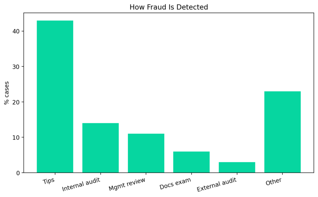 Charity Fraud Structures: When nonprofits become private businesses 6 CF chart6
