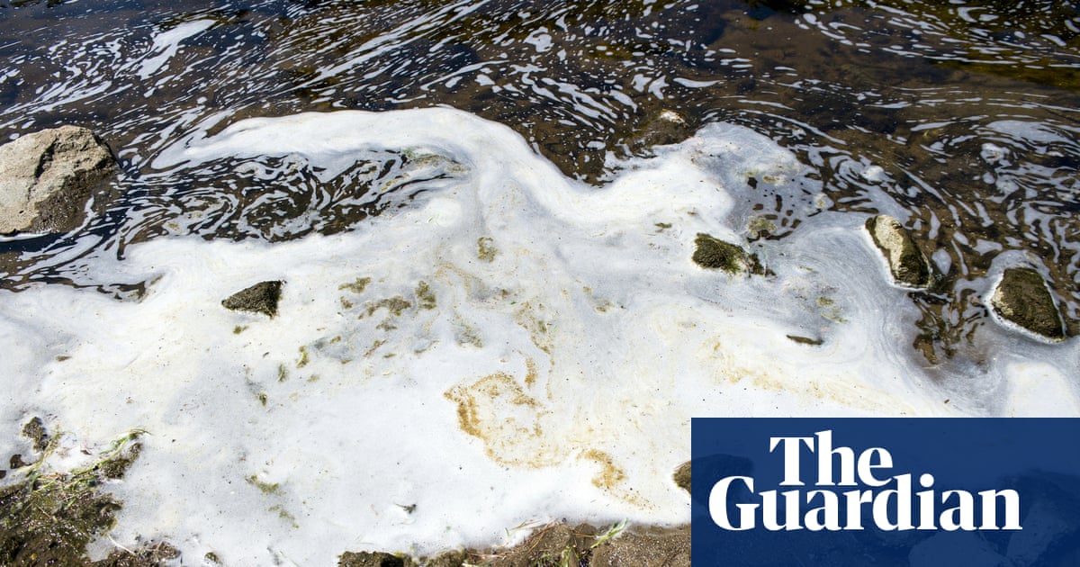 4. Suppressing the Monkey Studies: Concealing Fatalities and Immunotoxicity from Regulators