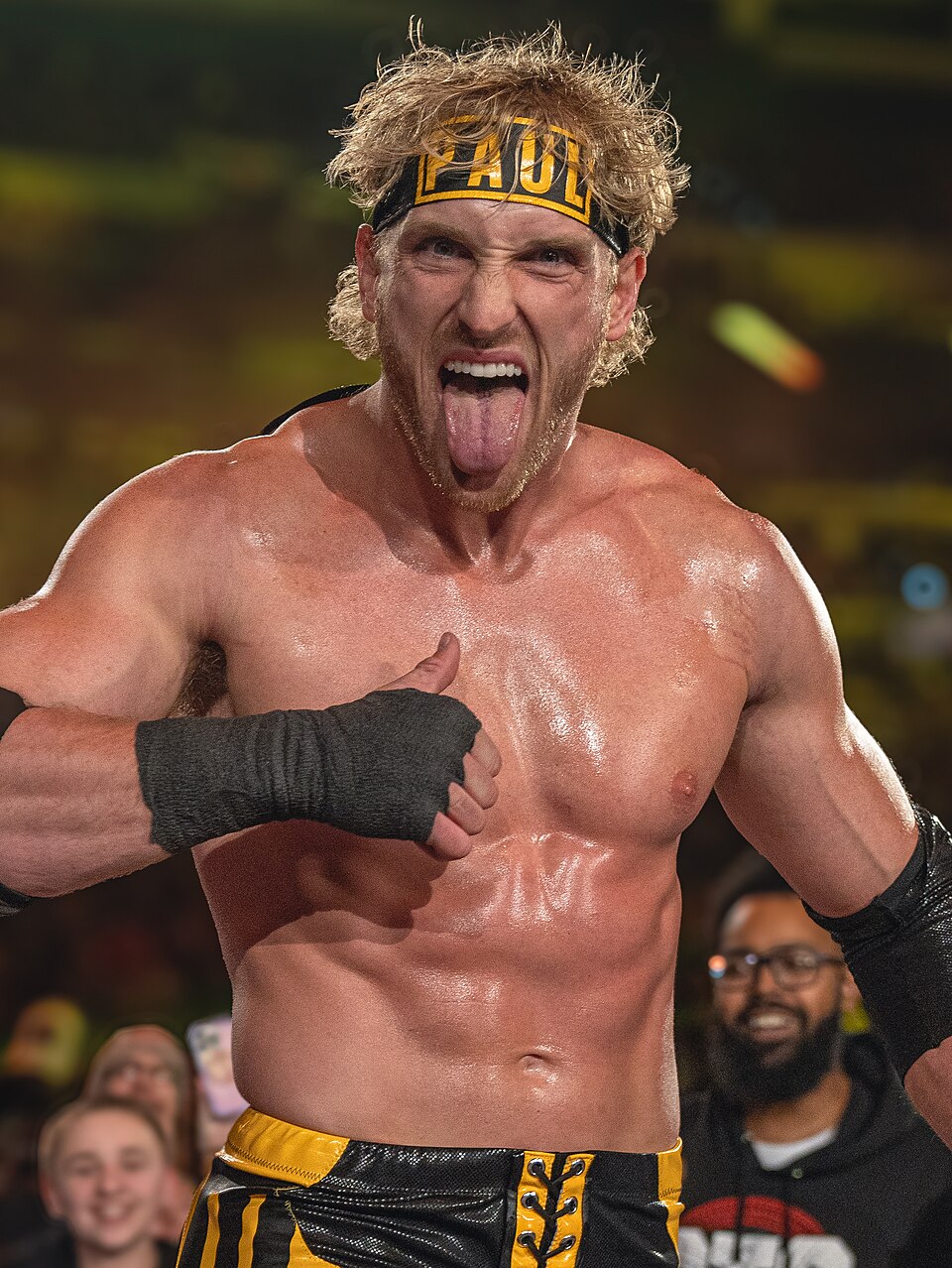 The Vine Exodus and Vlogging Explosion (2015, 2017)