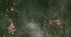 Article image: Deforestation in Borneo: The Satellite Evidence