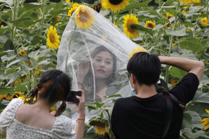 Economic Data Blackout: What Is Being Hidden In China? 2 Article image: China's Economic Data Blackout: What Is Being Hidden?