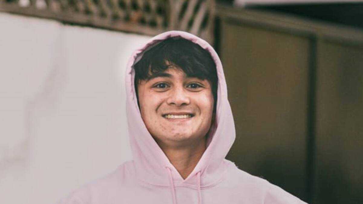 Professional Software Engineering Career