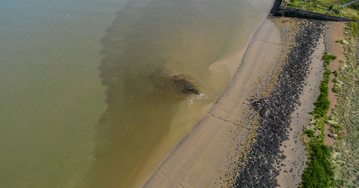 Witney Infrastructure Failure: 'Routine' Illegal Spilling and the Christmas Day Crisis