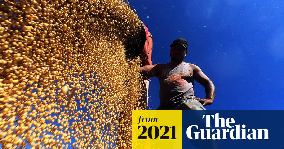 The Agronegócio Estrondo Estate: Documenting Illegal Clearance and Community Land Grabs