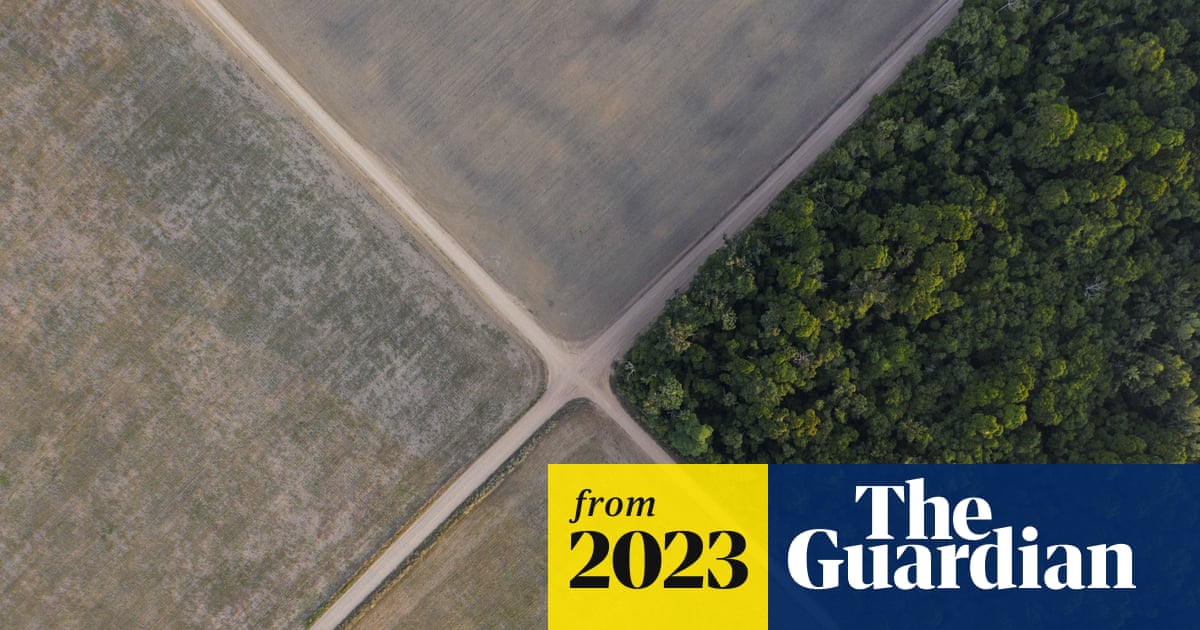 The 'Laundering' Mechanism: Tracing Soy Through Intermediaries Fiagril and Aliança