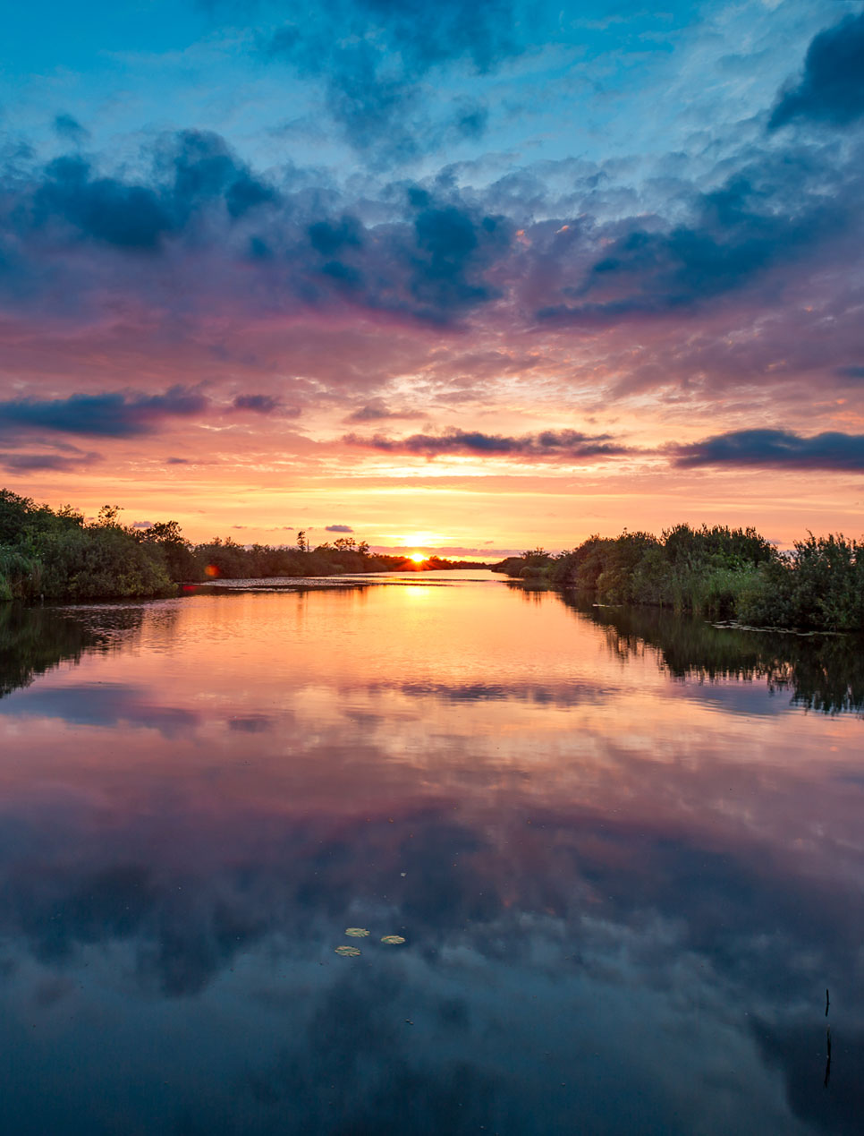 Camelback Farmhouse Architecture and Thatch Flammability