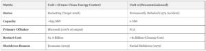 Nuclear Power Revival