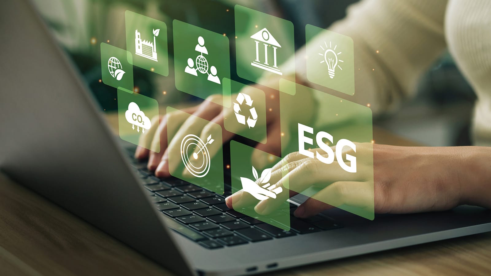 The Verra Collapse and the Phantom Forest emergency