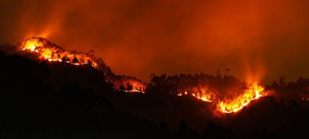 Wildfire Prevention Failures