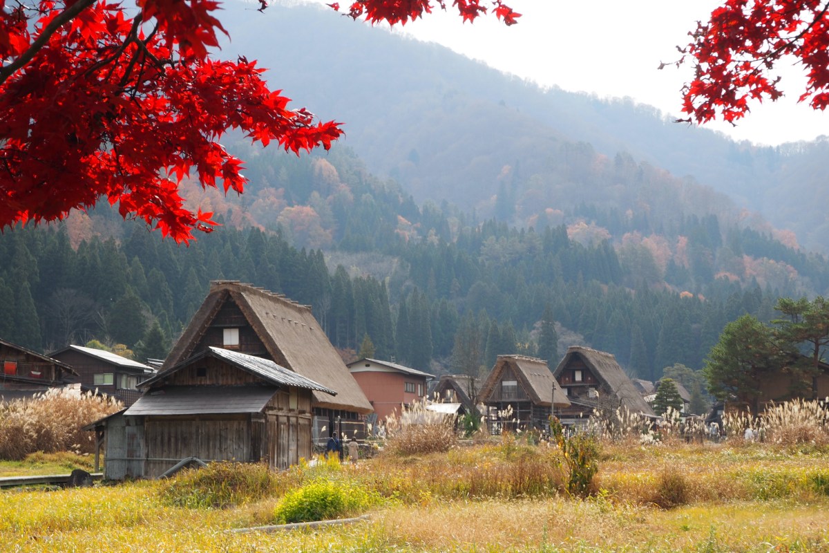 Gassho Zukuri Structural Engineering Mechanics