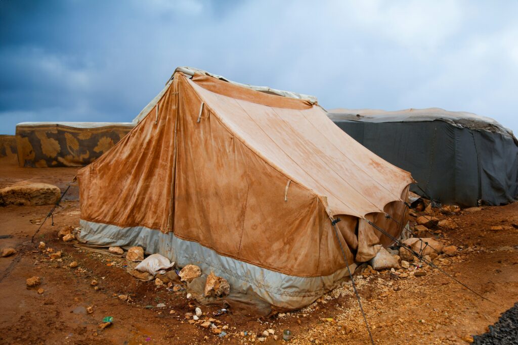 Cultural Heritage Destruction In War Zones