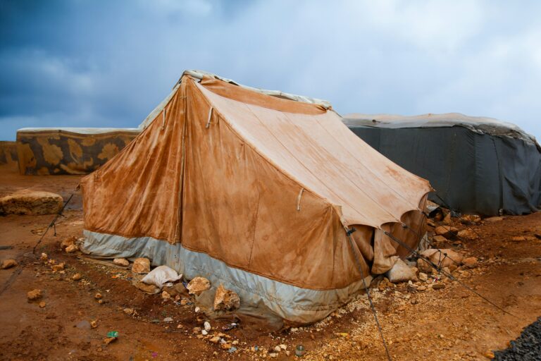 Cultural Heritage Destruction In War Zones