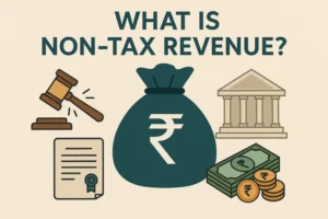 Tax Havens of the Political Elite